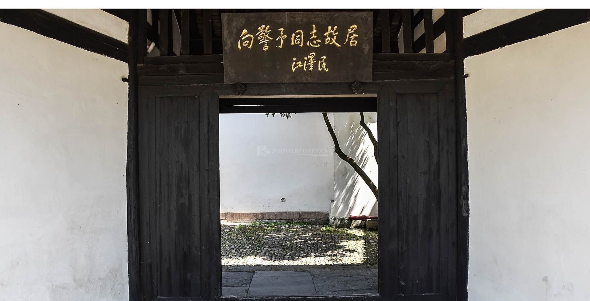 足球比分预测